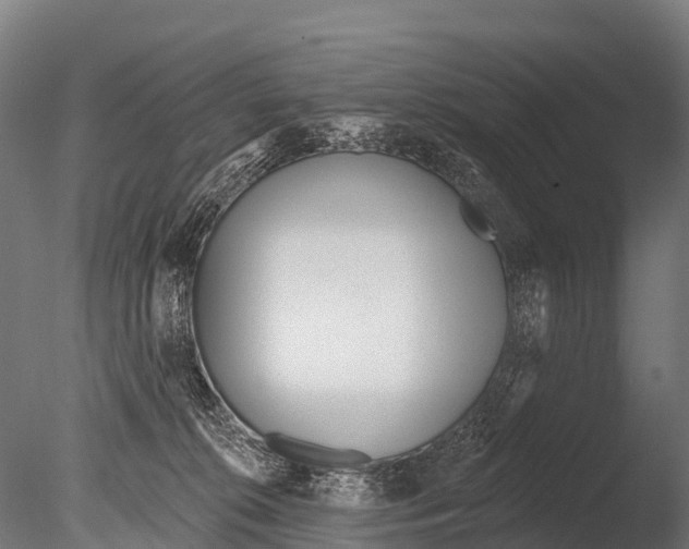 X0000085000276200704021342