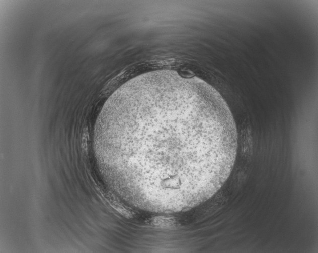 X0000085000279200704021342