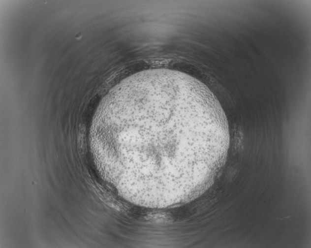 X0000085000283200704021342