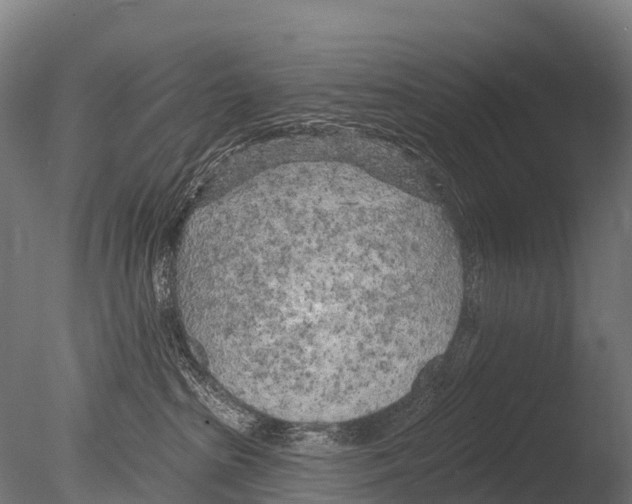 X0000085000285200704021342