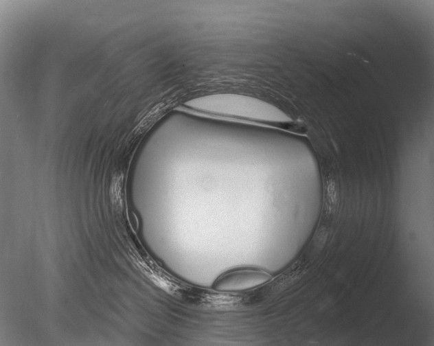 X0000085000286200704021342