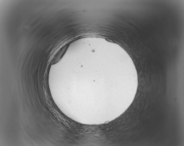 X0000085000289200704021341