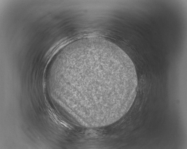 X0000085000290200704021341