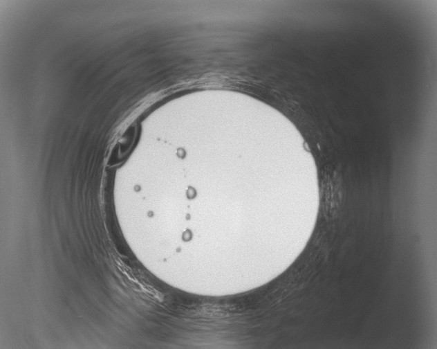 X0000085000292200704021341