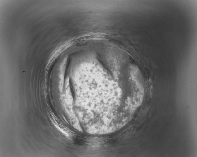 X0000085000293200704021341