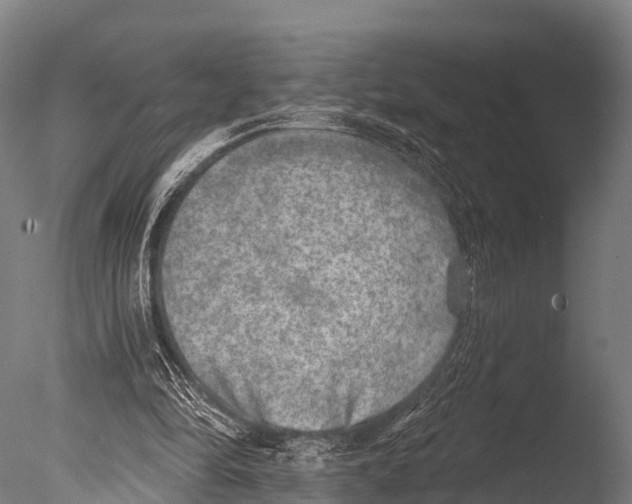 X0000085000294200704021341