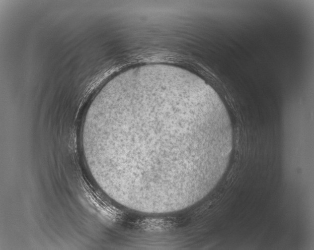 X0000085000298200704021341