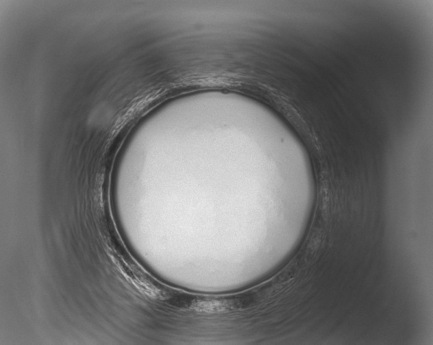 X0000085000299200704021341