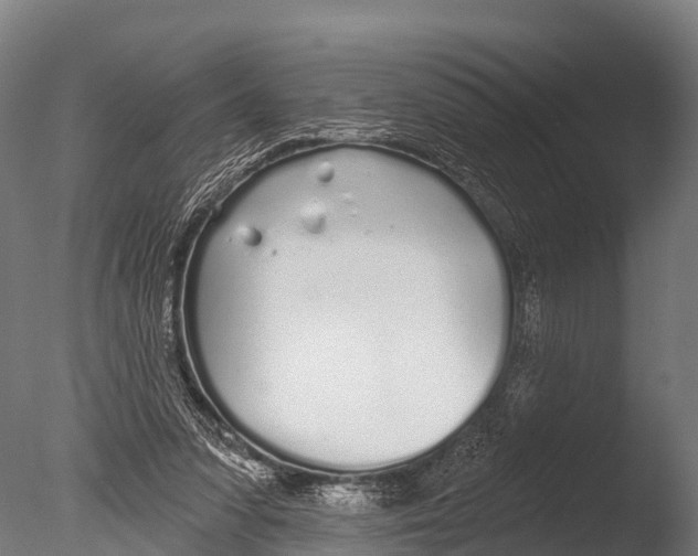 X0000085000303200704021341