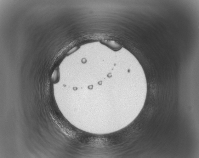 X0000085000304200704021341