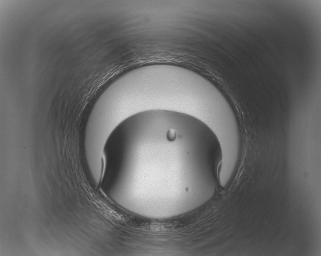 X0000085000305200704021341