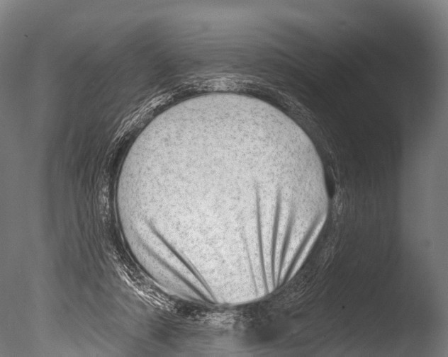 X0000085000306200704021341