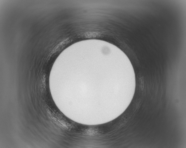 X0000085000308200704021341