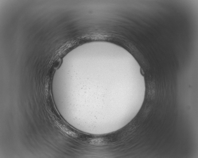 X0000085000309200704021341