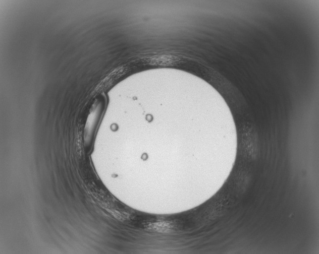 X0000085000312200704021341