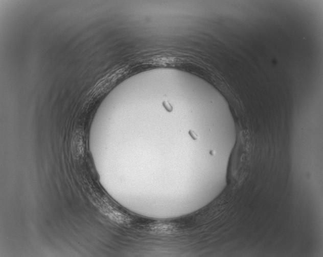 X0000085000313200704021341