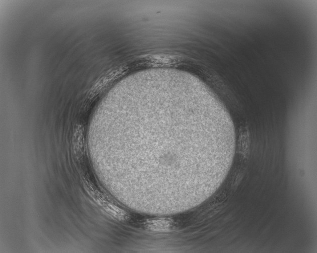 X0000085000318200704021340