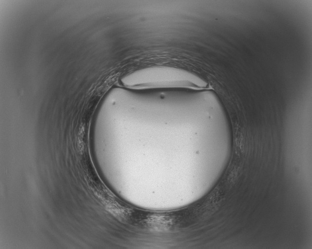 X0000085000319200704021340