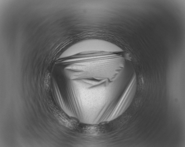 X0000085000325200704021340