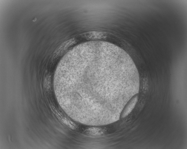 X0000085000326200704021340