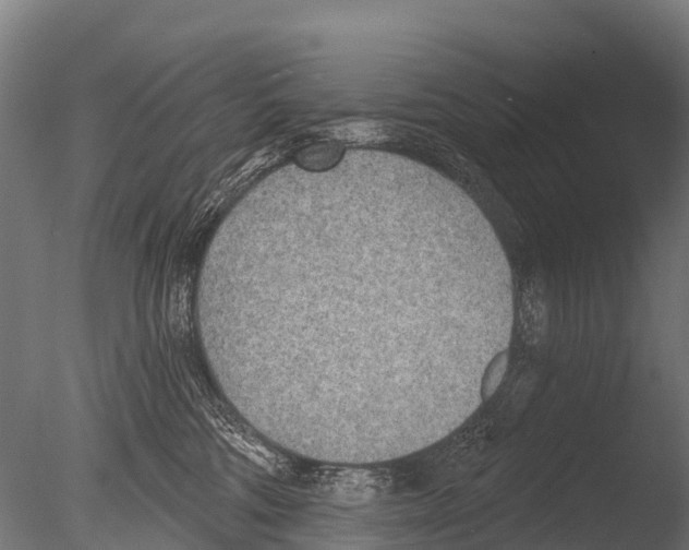 X0000085000330200704021340