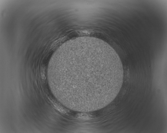 X0000085000331200704021340