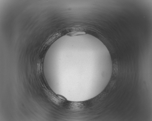 X0000085000333200704021340