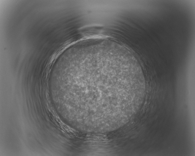 X0000085000337200704021339