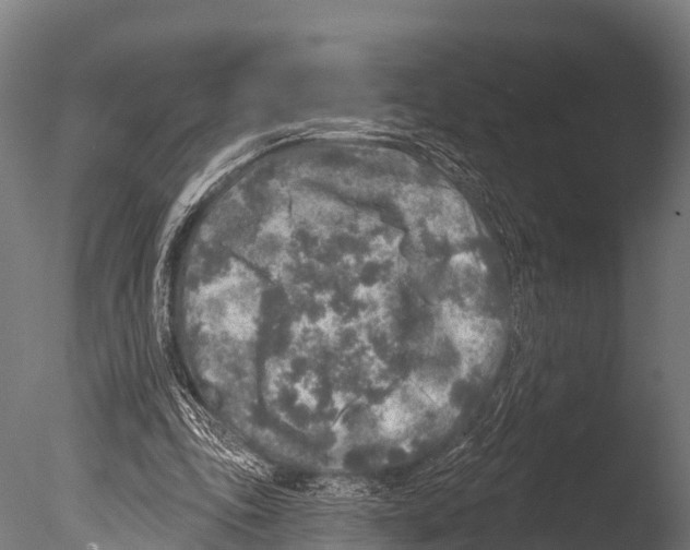 X0000085000343200704021339