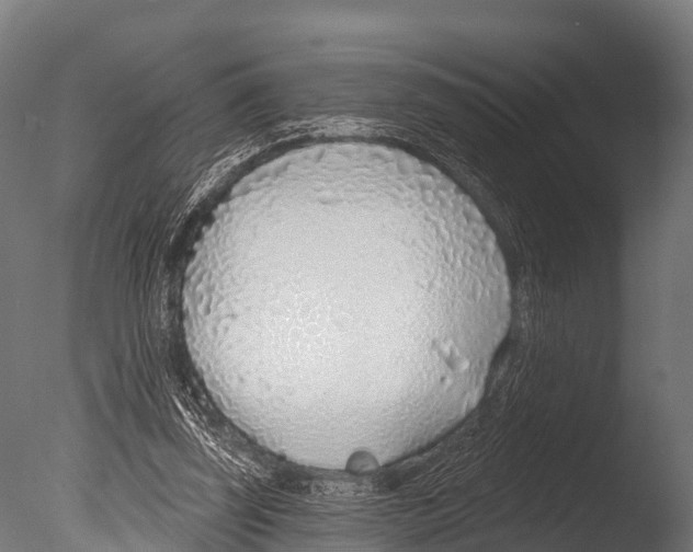 X0000085000347200704021339