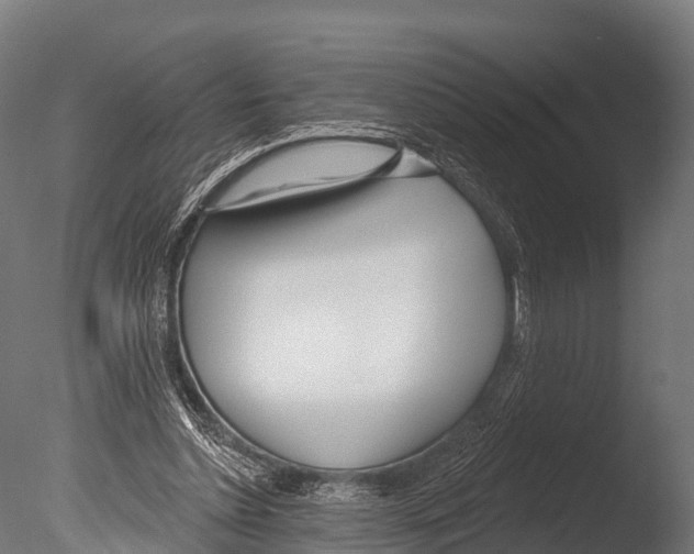 X0000085000348200704021339