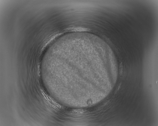 X0000085000351200704021340