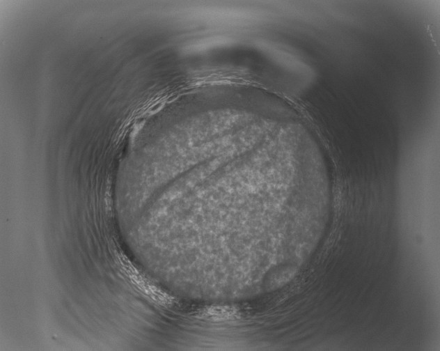 X0000085000353200704021340