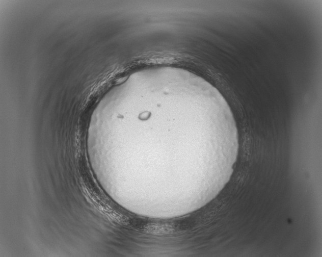 X0000085000354200704021340