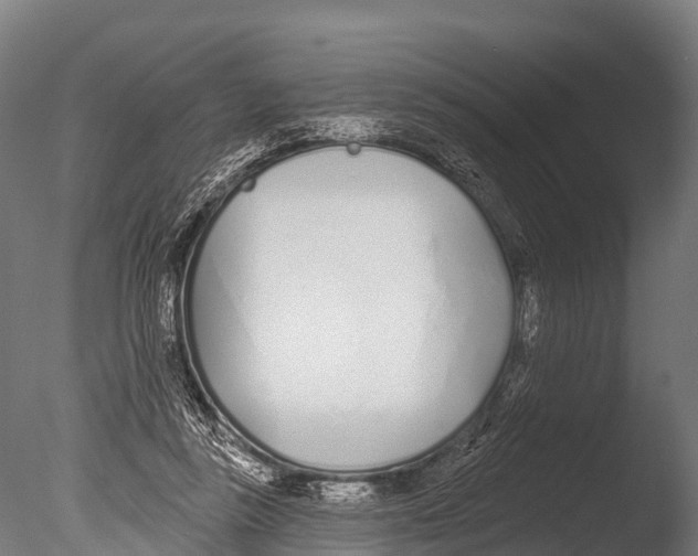 X0000085000355200704021340