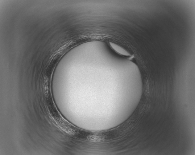 X0000085000356200704021340