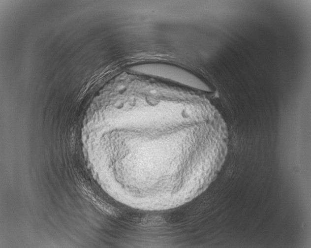 X0000085000357200704021340