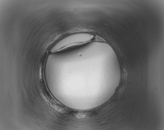 X0000085000358200704021340