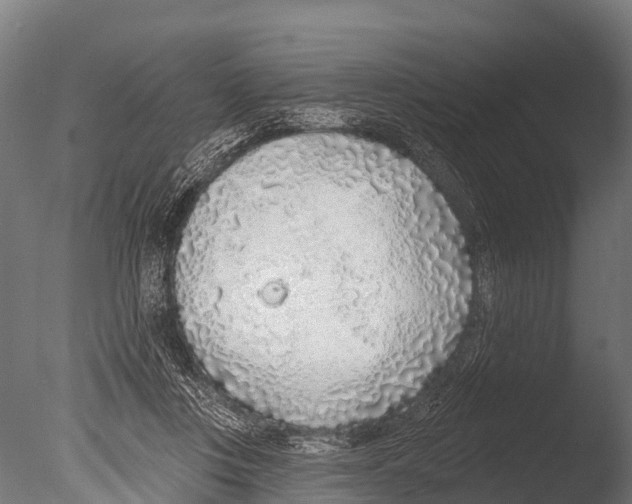 X0000085000359200704021340