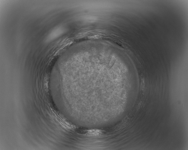 X0000085000363200704021340