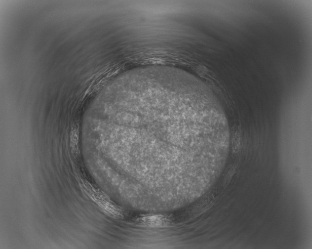 X0000085000365200704021340