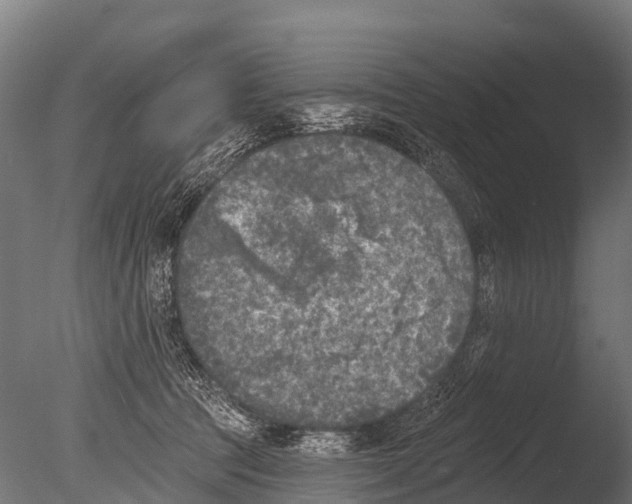 X0000085000369200704021340