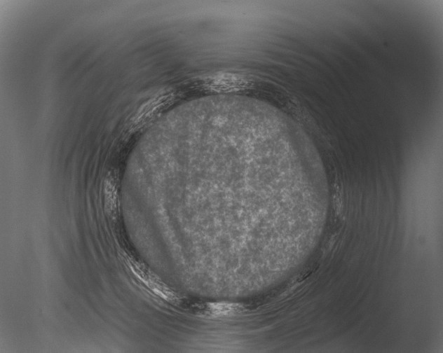 X0000085000371200704021340