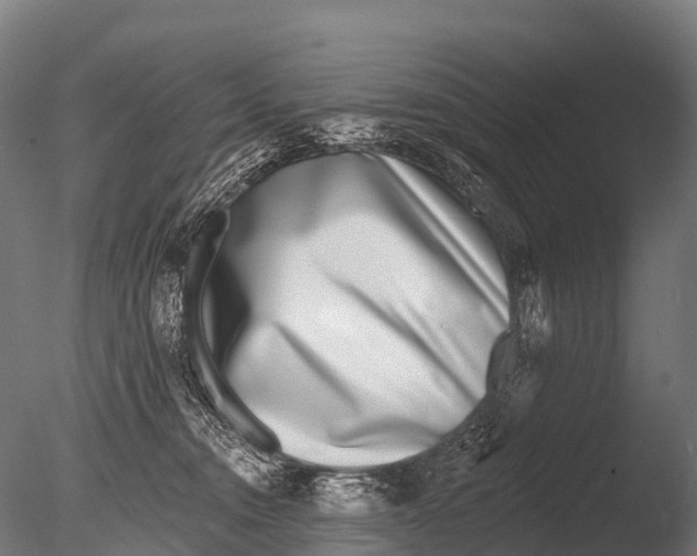 X0000085000372200704021340