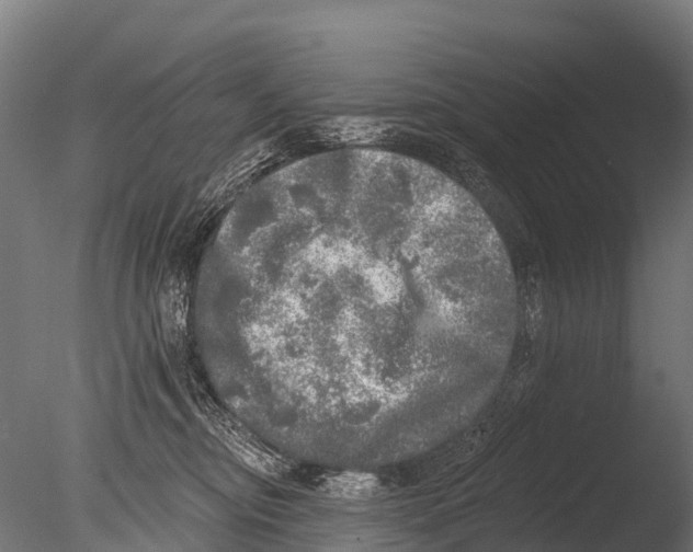 X0000085000374200704021340