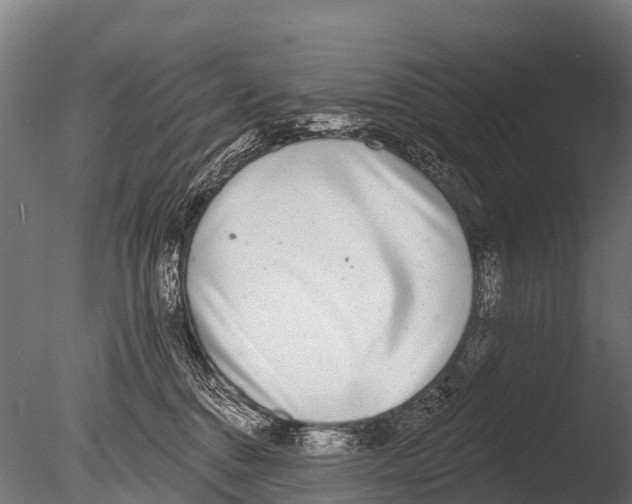 X0000085000376200704021340