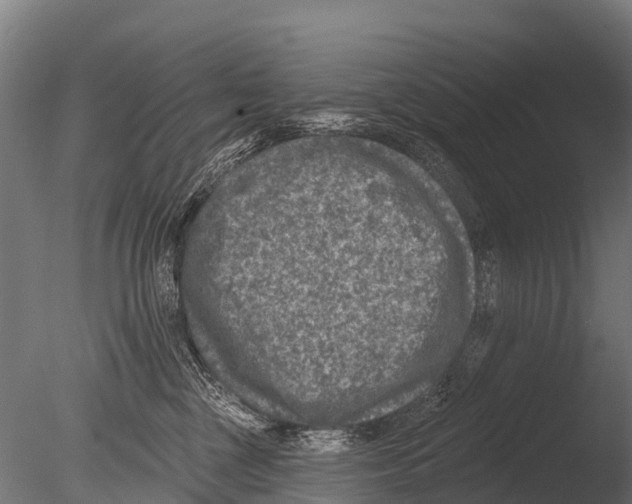 X0000085000377200704021340