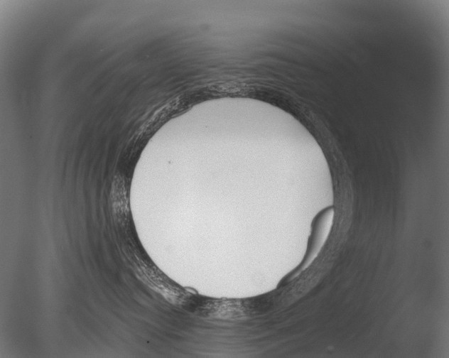 X0000085000384200704021340