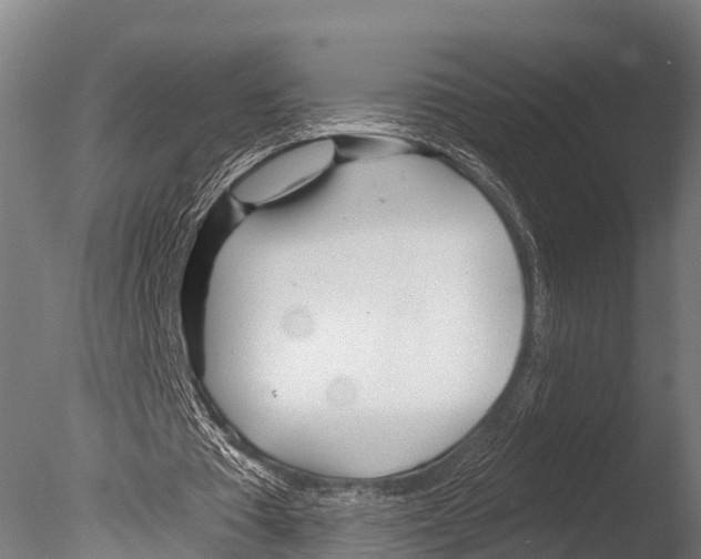 X0000085000385200704021339