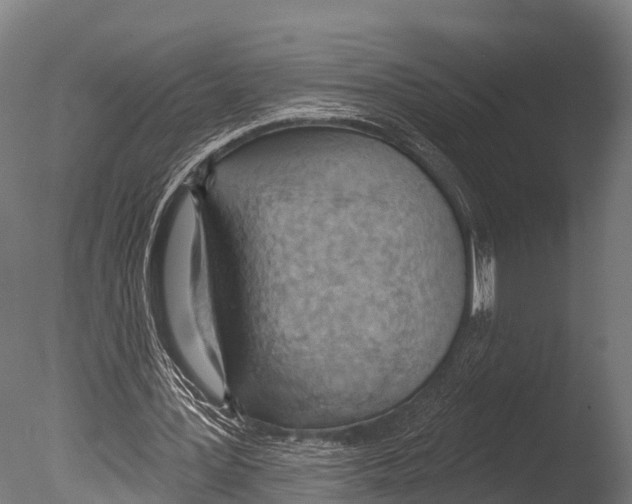 X0000085000387200704021339